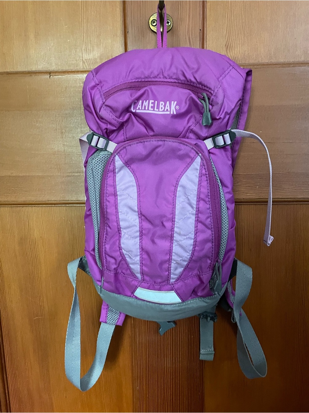 CamelBak kids mini mule pack only (no bladder)